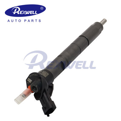 0445116059 0445116019 0986435395 5805402110 5801540211 Bosch Fuel Injector Nozzle for Fiat Mitsubishi Canter